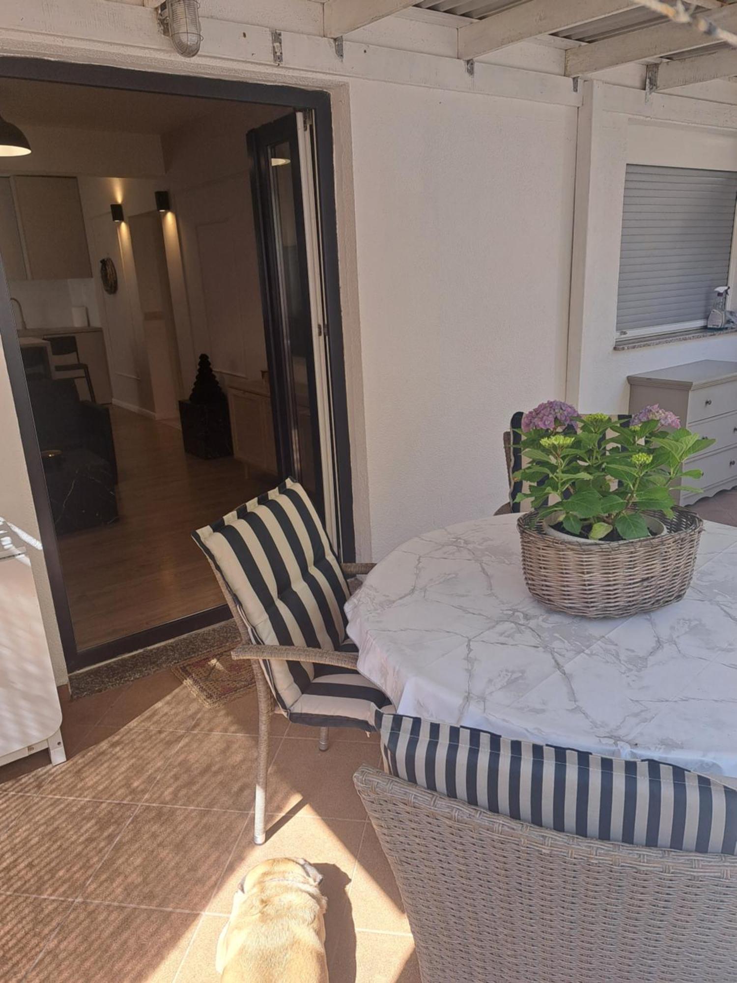 Apartman Petra Zara Esterno foto