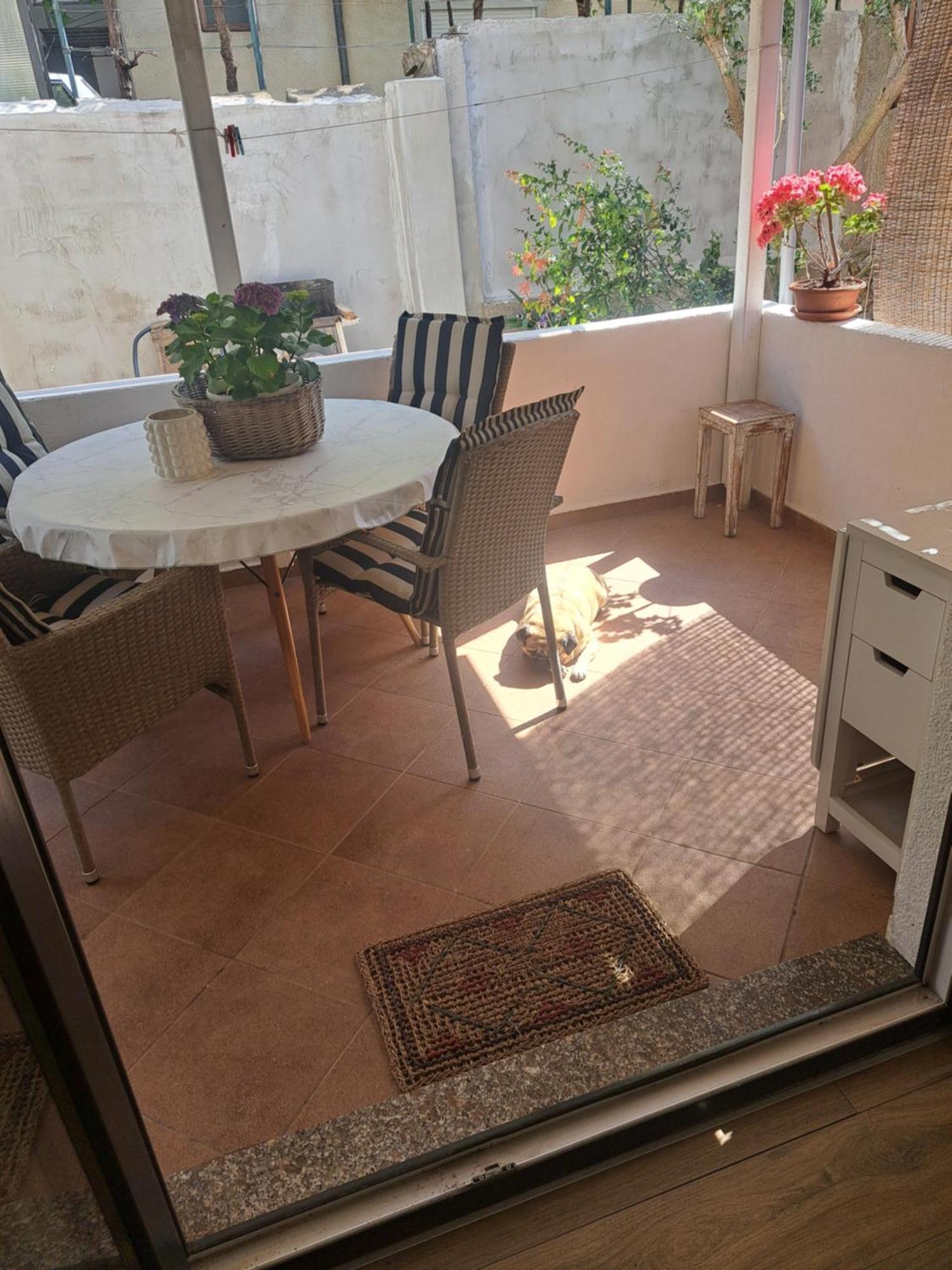 Apartman Petra Zara Esterno foto